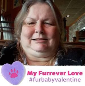 Meet your Posher, Dee